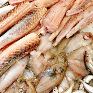 Ribarnica Jerman - Priprava